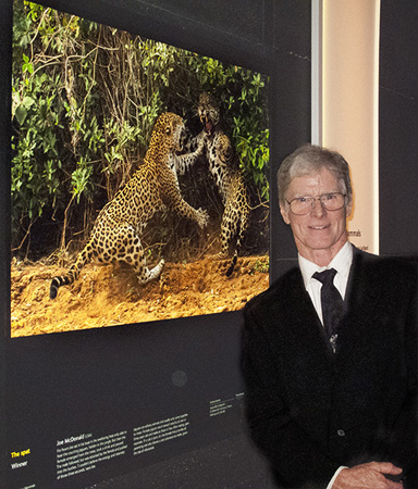 BBC Wildlife Photographer of the Year 2013