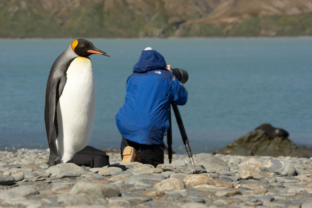 king%20photog%20MARY9774
