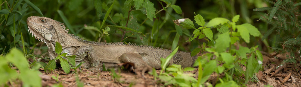 Participants%20Portfolio_16_1