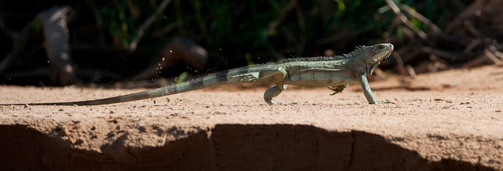 Participants%20Portfolio_17_1