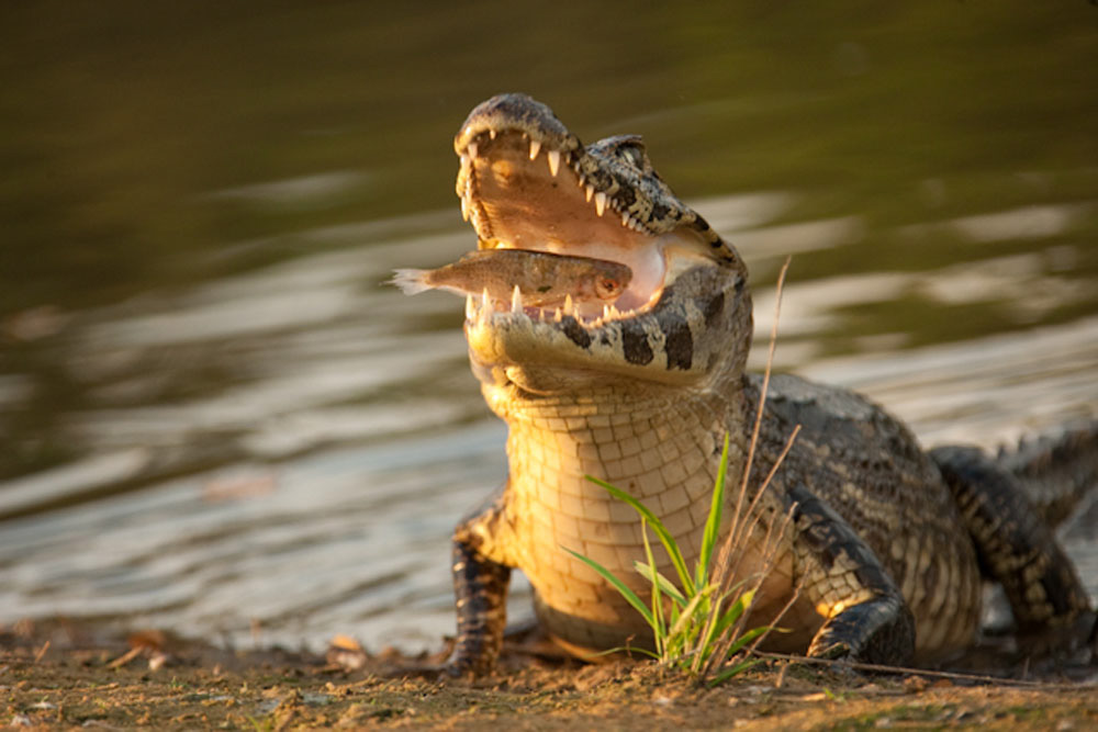 Participants%20Portfolio_18_1