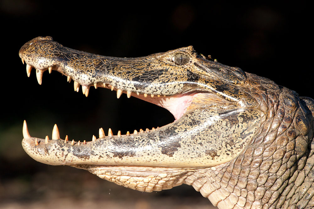 Participants%20Portfolio_19_1