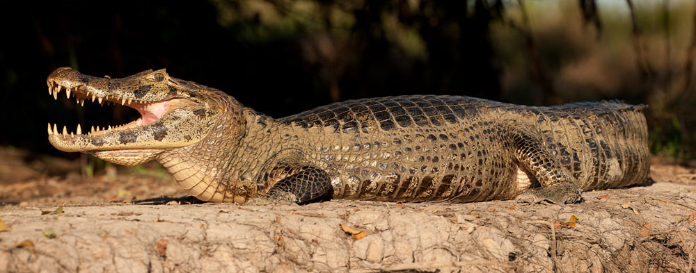 Participants%20Portfolio_20_1