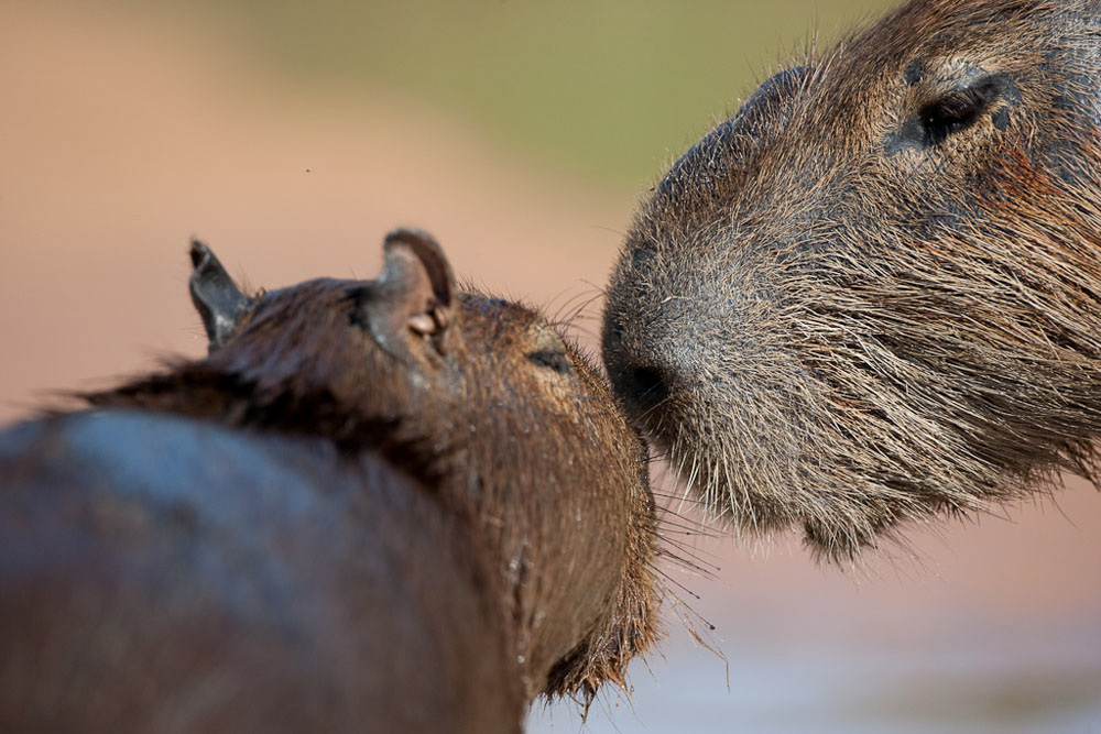 Participants%20Portfolio_21_1