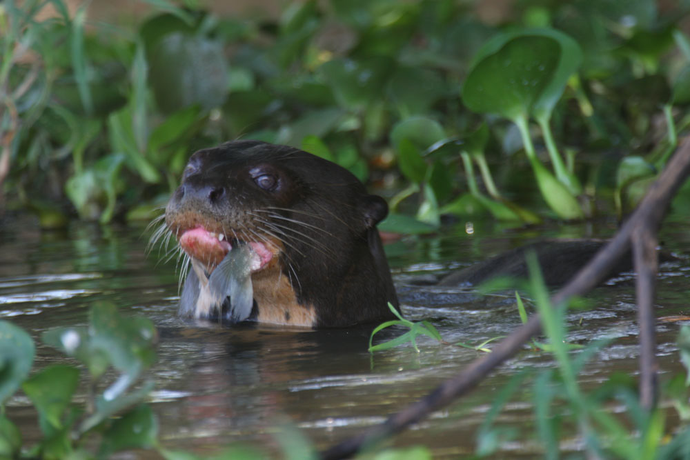 Participants%20Portfolio_22_1