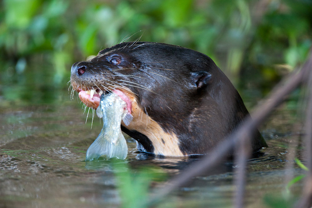 Participants%20Portfolio_25_1