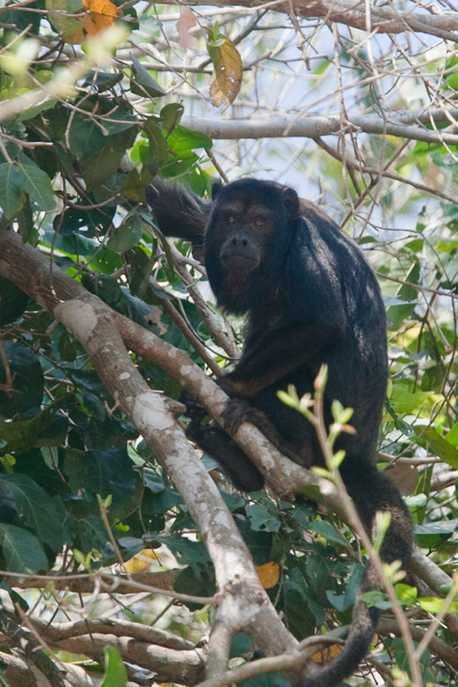 Participants%20Portfolio_27_1