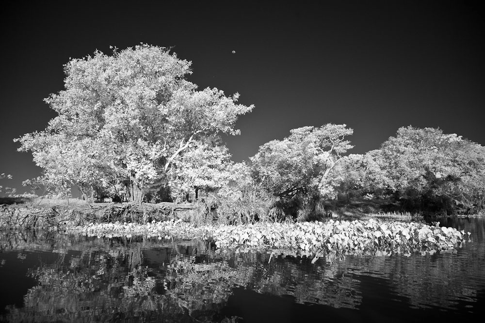 Participants%20Portfolio_28_1