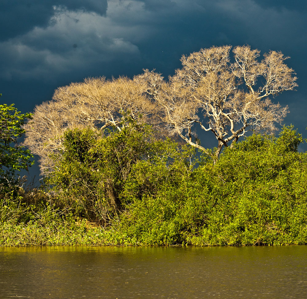 Participants%20Portfolio_29_1