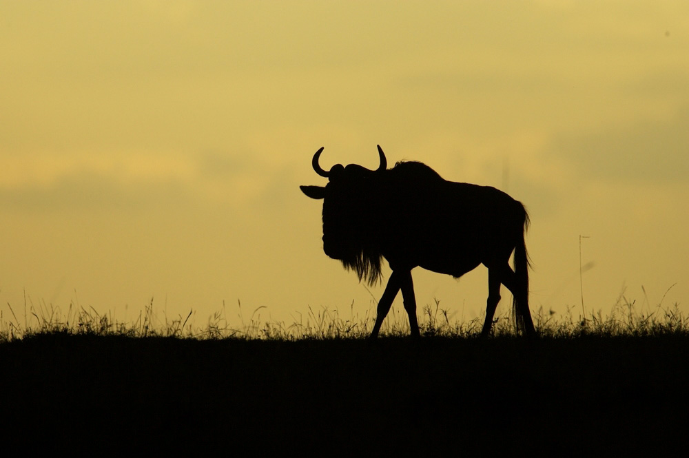 Favorites%20MA%20A%20mara%208%207206