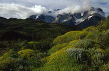 TorresdelPaine&YellowMound