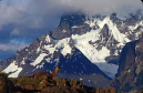 Guanaco&Mtbackground