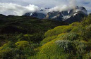 TorresdelPaine&YellowMound
